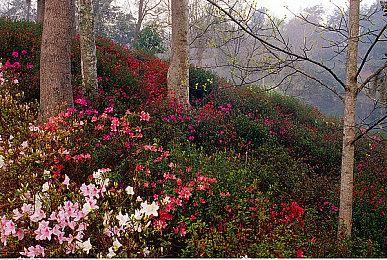 《渔帆暗涌》首个DLC于11月推出 黑暗系钓鱼好评游戏